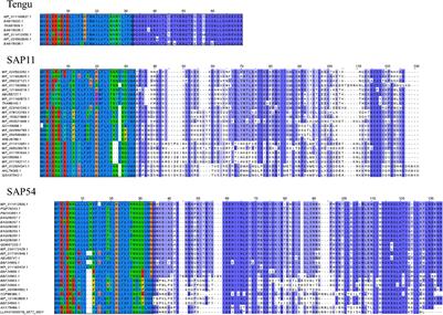 Comparison of Current Methods for Signal Peptide Prediction in Phytoplasmas